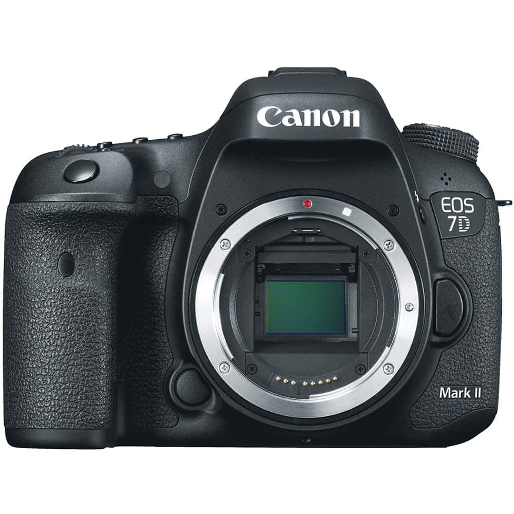 Canon 7D Mark II body